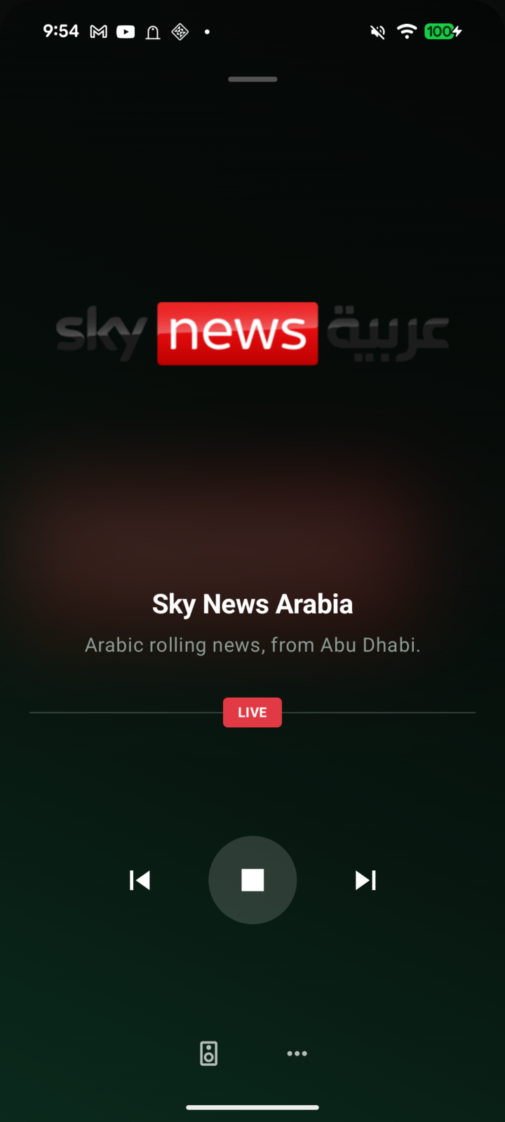 FRadio DZ player showing Sky News Arabia live, with the station logo, description, LIVE badge, and transport controls